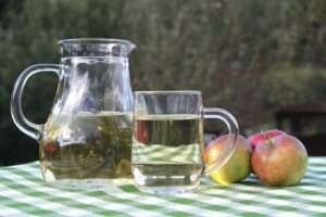 5 Surprising Benefits of Apple Cider Vinegar and Cranberry Juice